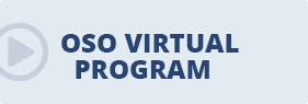 virtual program