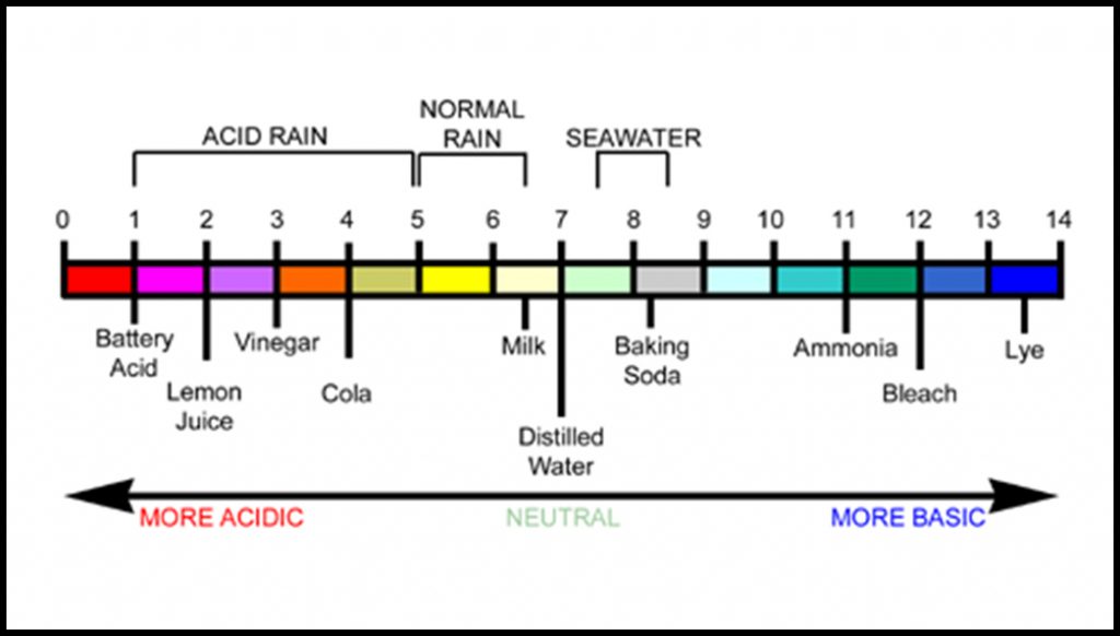 Marine Ecology pH Measurement O'Neill Sea Odyssey